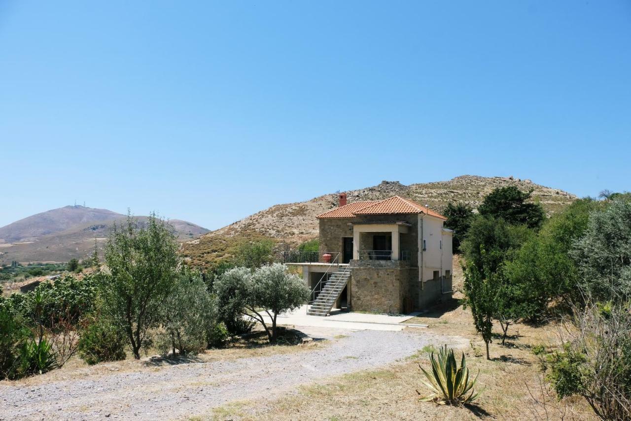 Villa Stone House Of Panos Kornos Exterior foto